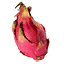 ico_drakefruit.png