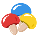 Magic Mushrooms